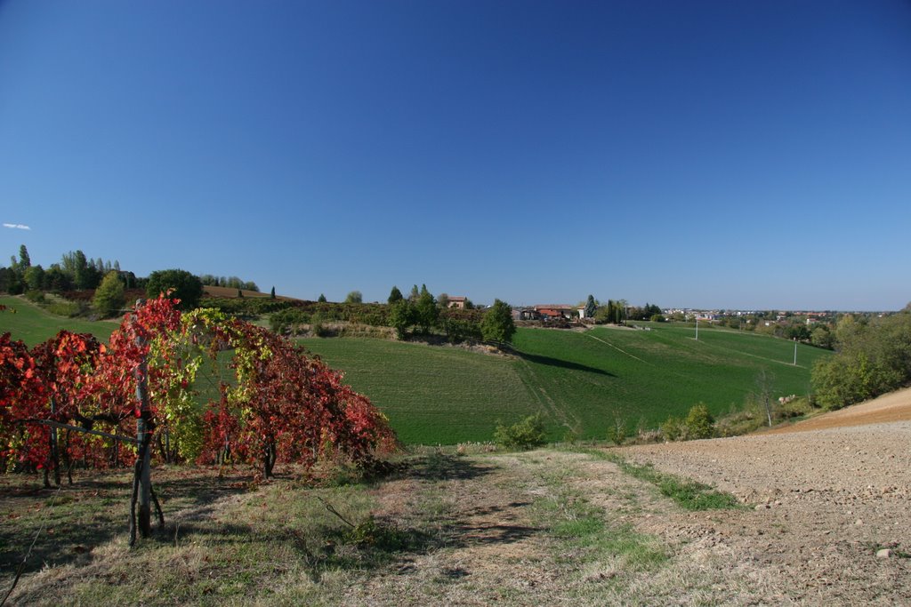 41014 Castelvetro di Modena, Province of Modena, Italy by Vinicio Cavallini