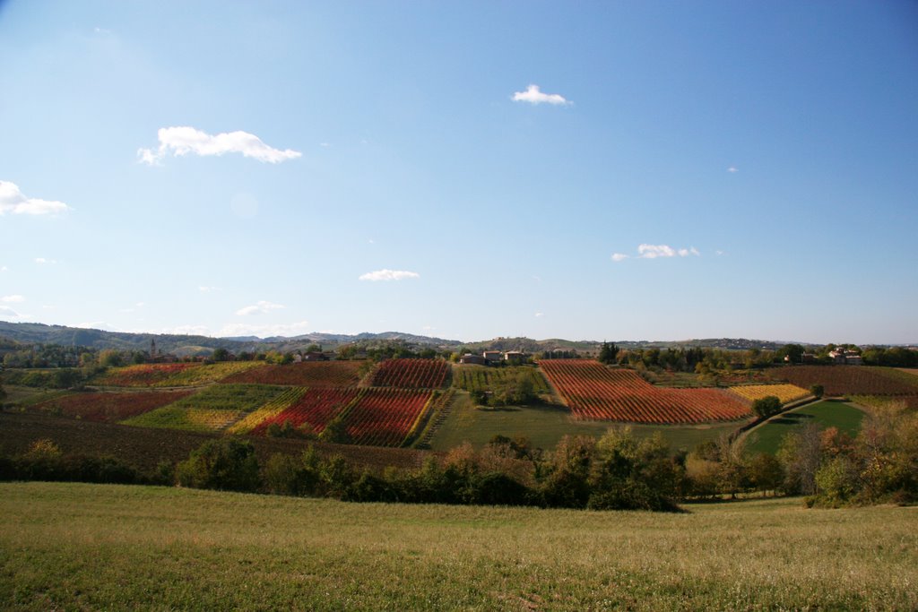 41014 Castelvetro di Modena, Province of Modena, Italy by Vinicio Cavallini