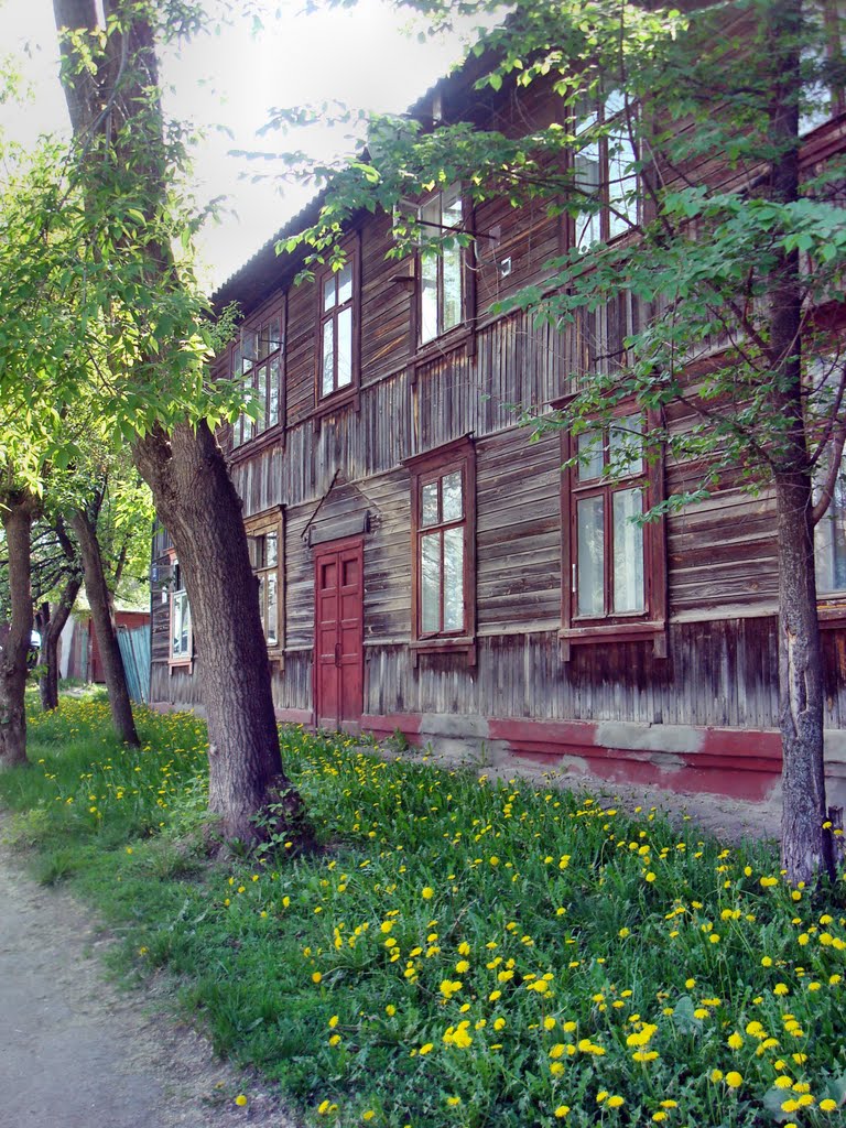 Cheboksary, street of Bogdan Khmelnitsky by sakuram