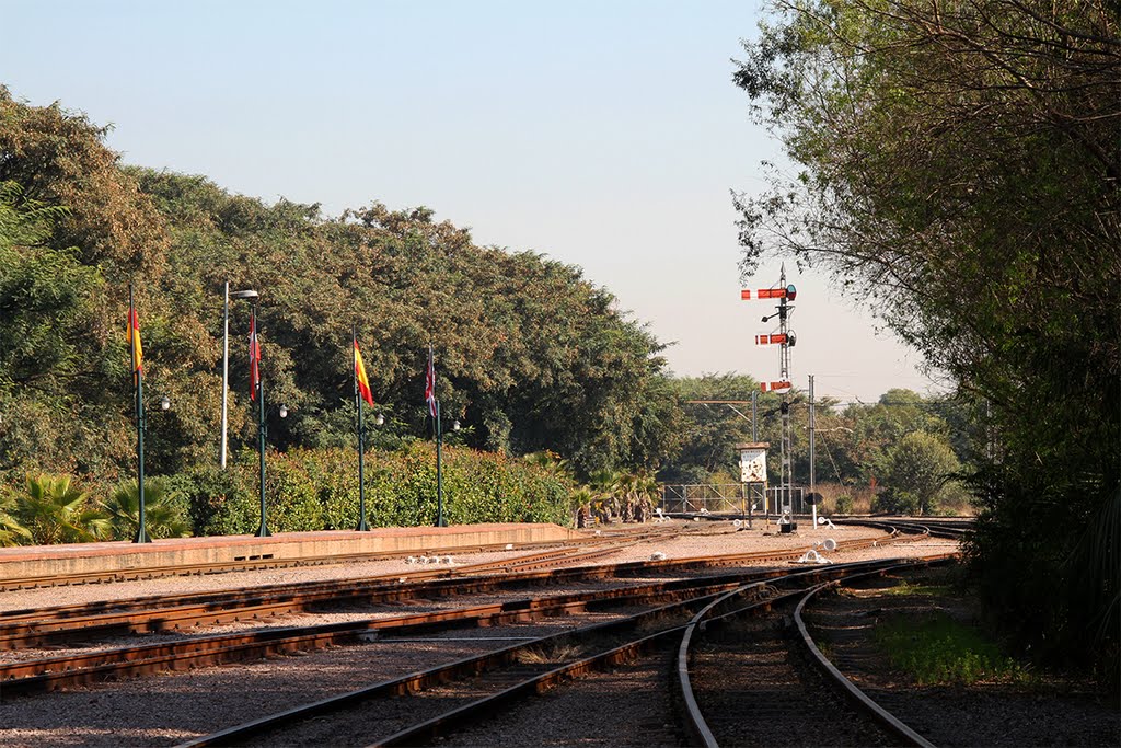 Along the tracks by Daan Prinsloo