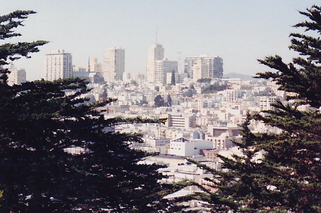 San Francisco,California,USA. by Roman Eugeniusz