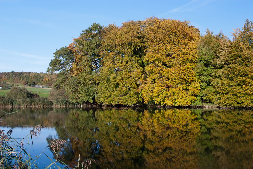 Holle Teich by wurzelzwerg1958