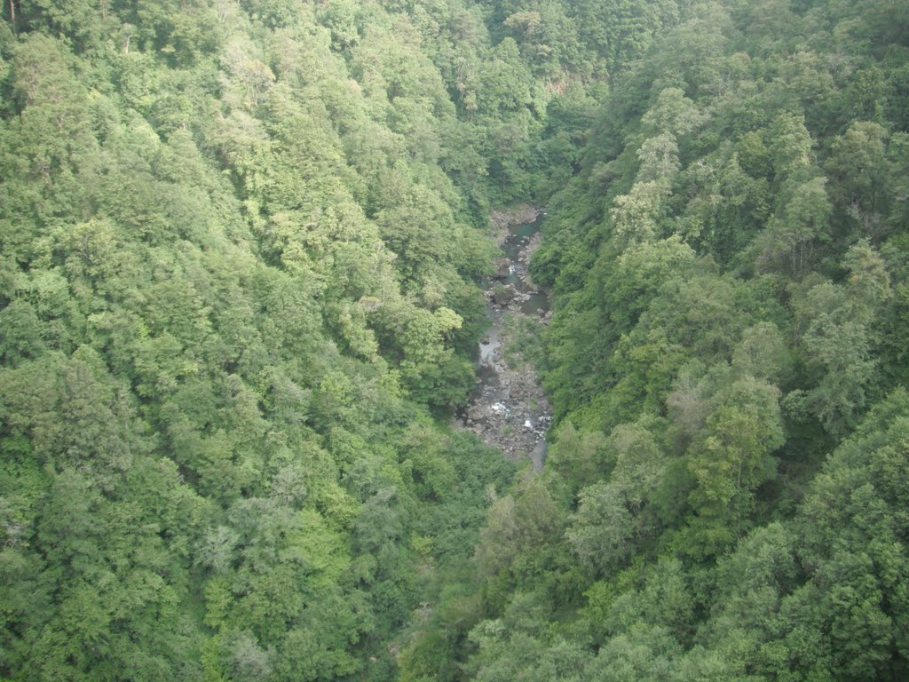 VISTA DESDE EL PUENTE TEXCAPA by joseaparicio