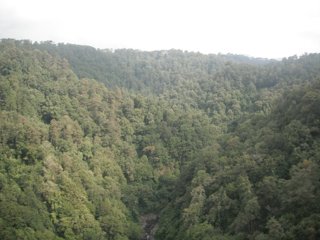 VISTA DESDE EL PUENTE TEXCAPA by joseaparicio