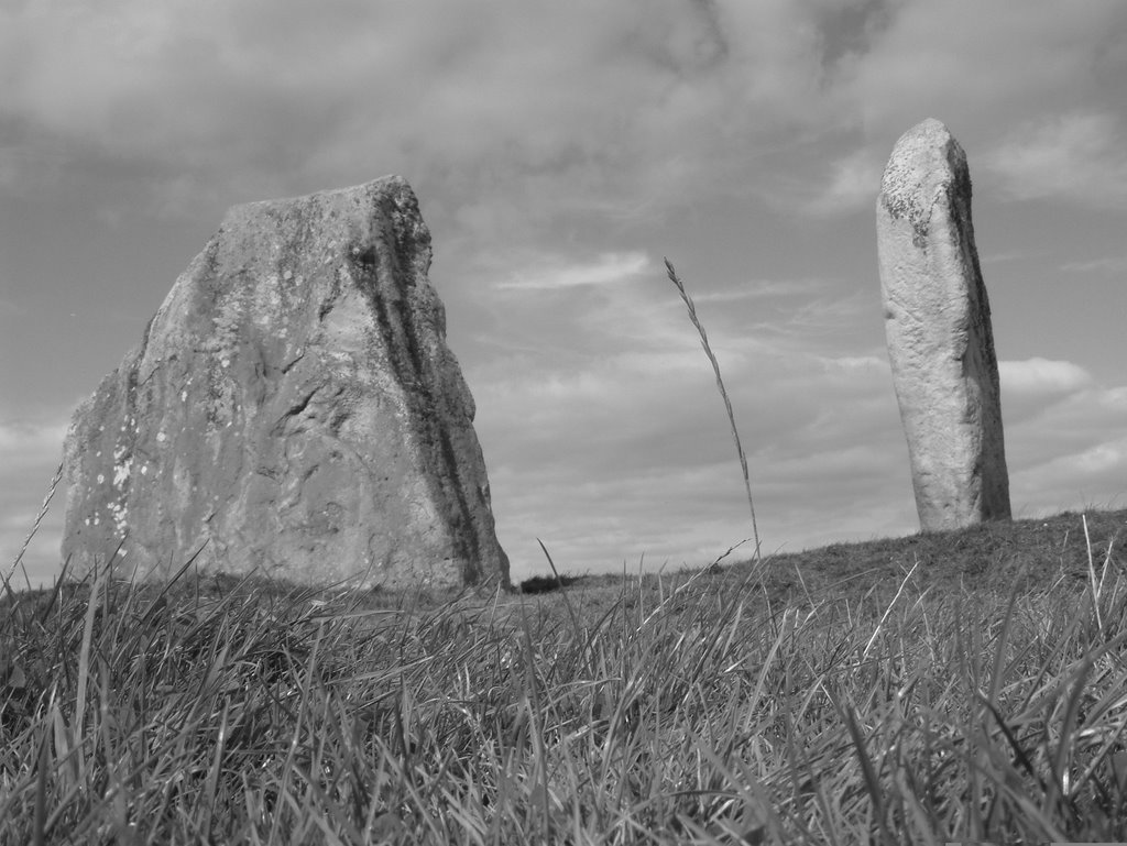 Avebury Stones by gramsey