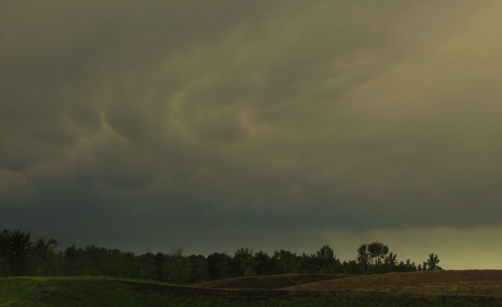 Mammatus Clouds And Dark Skies Over Green And Golden Prairie In West Edmonton June '11 by David Cure-Hryciuk