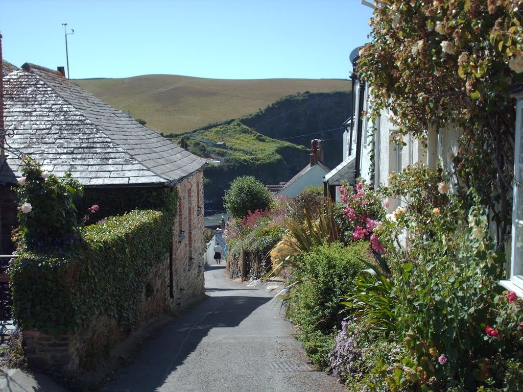 Port Isaac by G knight