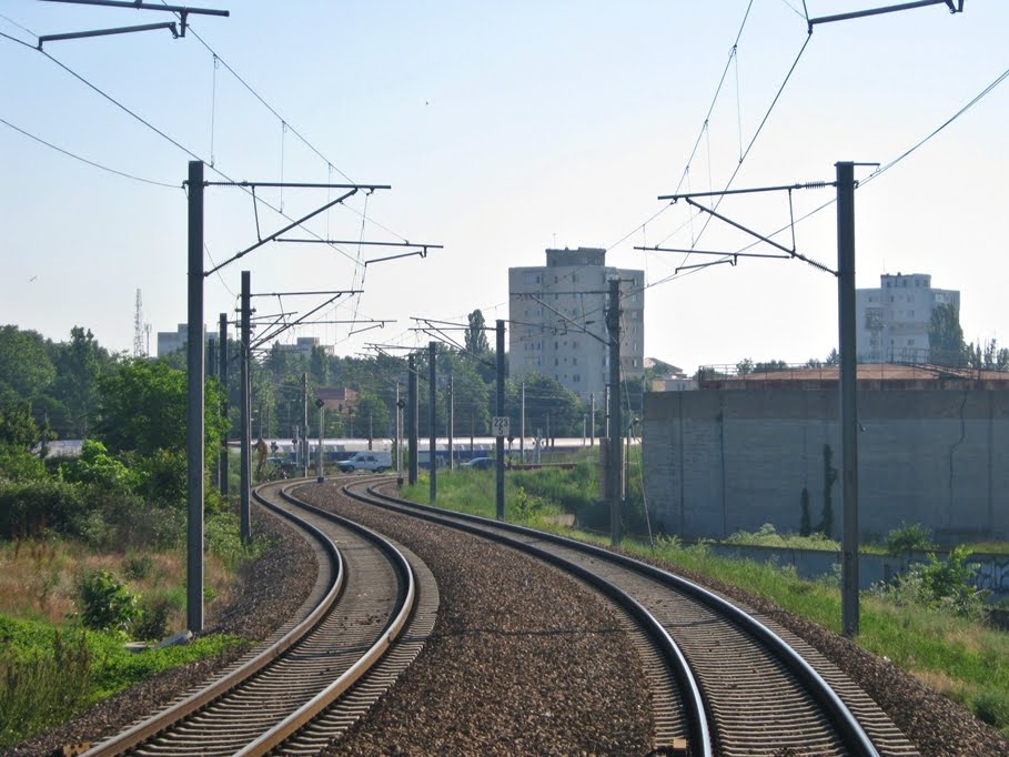 Şerpuind drumul de fier (iun 2011) by Mihai Răitaru