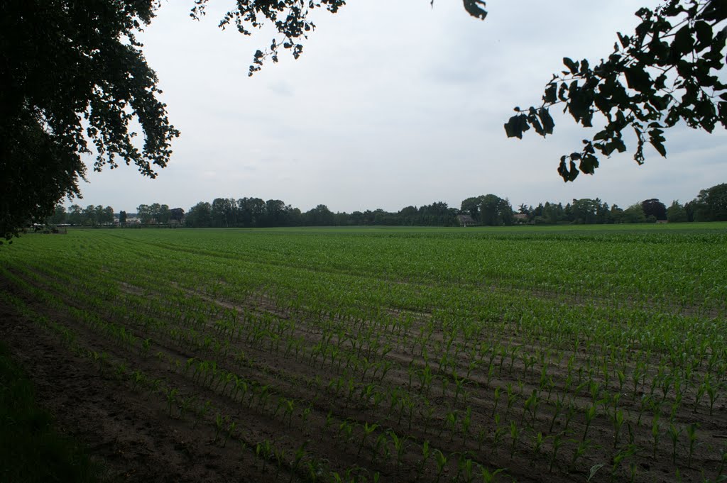 Pieterpad van Holten naar Nijverdal-zuid by Wil Oskam