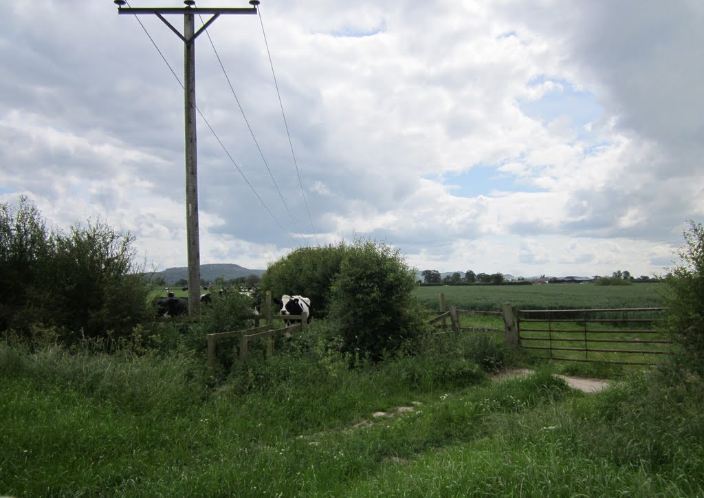 Bridge stile near Tiverton Farm by Cestrian