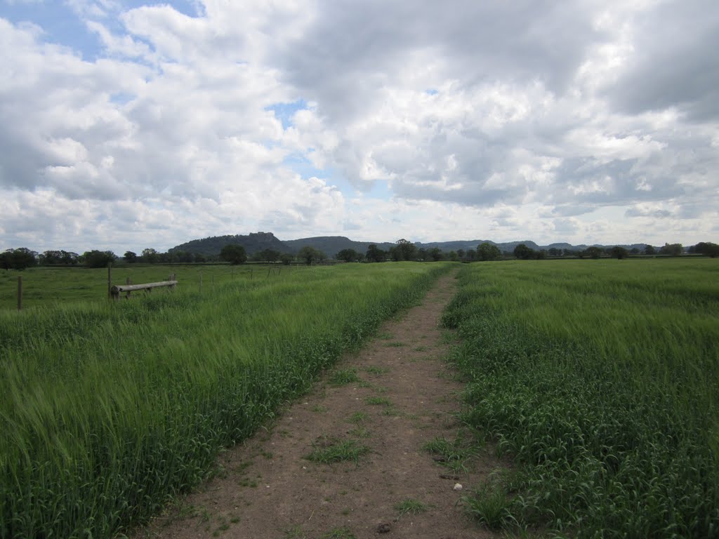 Footpath to Huxley Lane by Cestrian