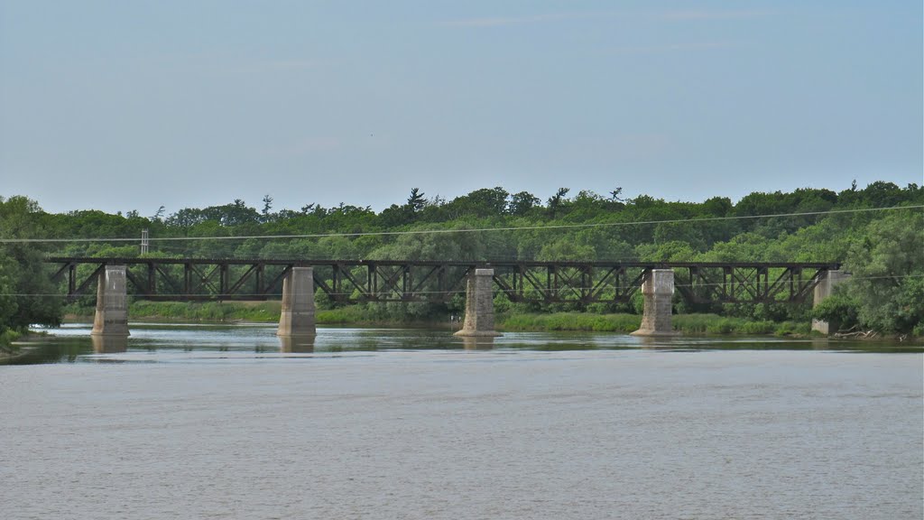 Cayuga Rail Bridge by kanadaguy