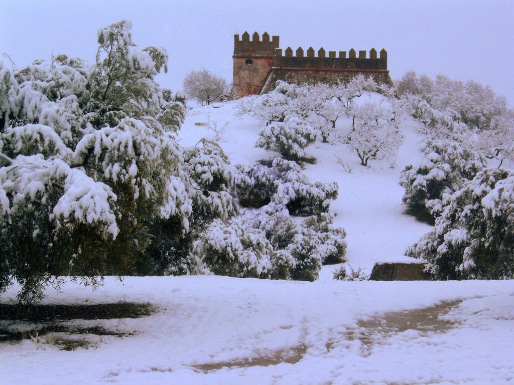 Castillo rosa by Mbautista