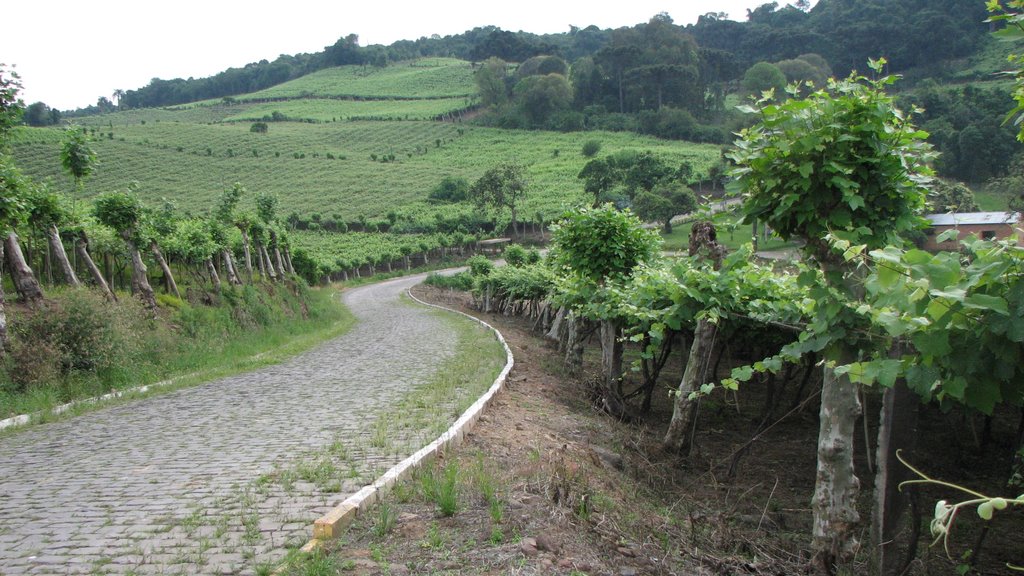 Vale dos Vinhedos - ©RR by Ricardo Ribas