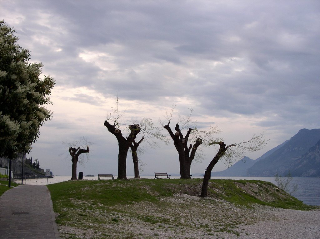 Malcesine, Lago di Garda by JustforFun