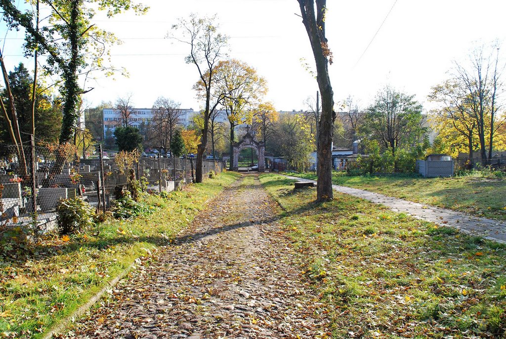 ŁÓDŹ - Cmentarz Prawosławny Doły / LODZ – Russian Orthodox Cemetery Doly by Subjective Lodz