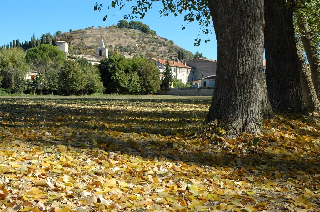 Le clocher de l'église de Riez aperçu depuis les berges du Colostre by Christophe Trinquier