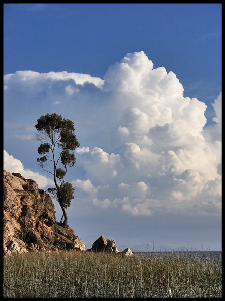 Unnamed Road, Bolivia by matias Fogliacco