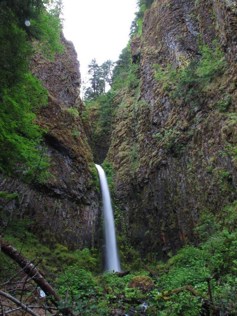 The huge amphitheater at Dry Creek Falls by Curious Gorge Guidebook