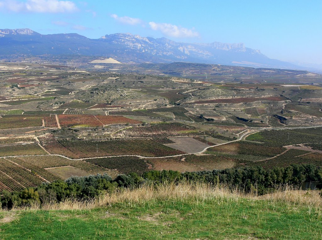 DAVALILLO (Despoblado de San Asensio). 2007. Entorno. Al fondo, los montes de Álava. by Carlos Sieiro del Ni…