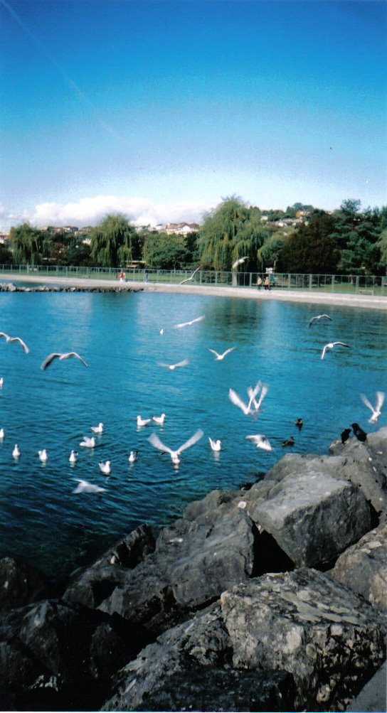 Plage à Bellerive; Lausanne, Switzerland by Cat Watson