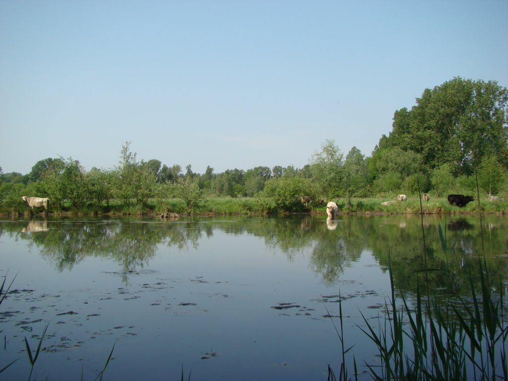 Niederrhein April 2011 by DortmundWestfalica