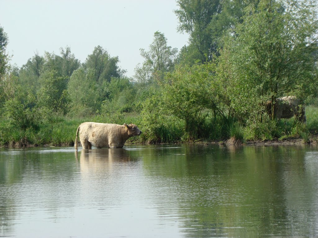 Niederrhein April 2011 by DortmundWestfalica