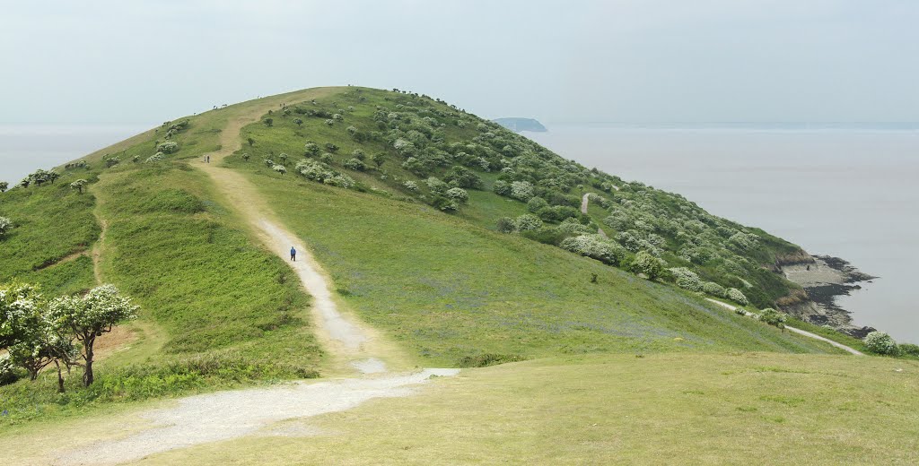 Brean Down 01 Panorama by coljay72