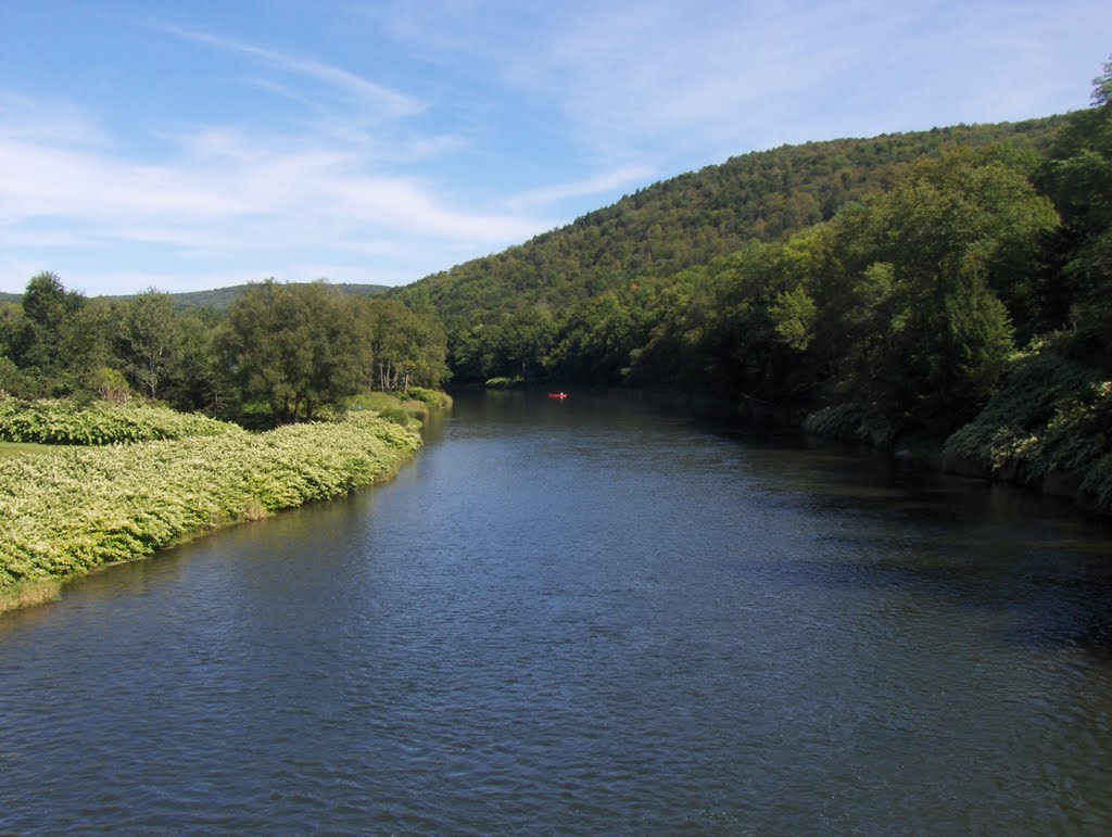 West Branch Delaware River at Hale Eddy, NY by Robert Richards