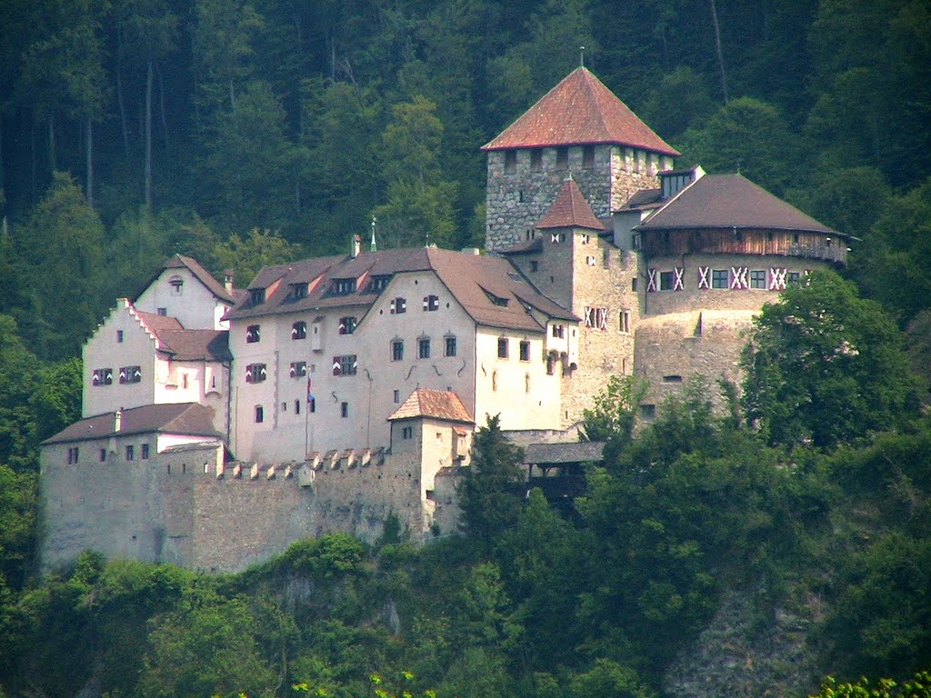 Liechtenstein - Vaduz - Il Castello by Maurizio Giove