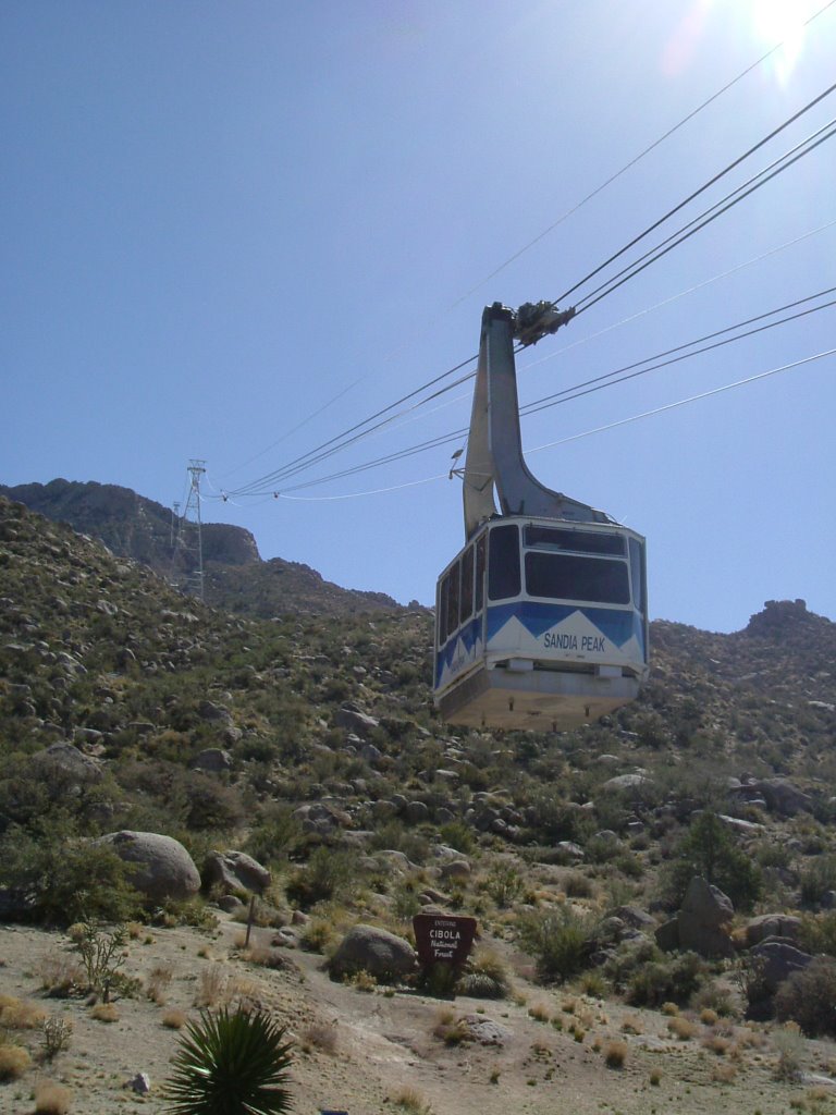 Tram landing by PaulPosition