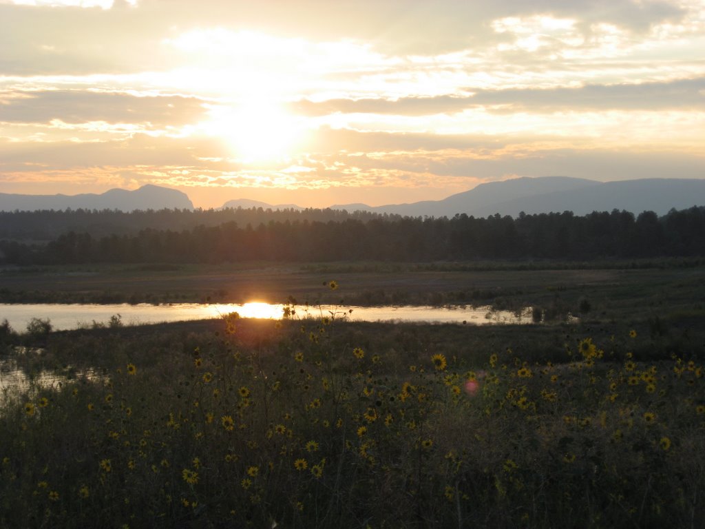 Rio Arriba County, NM, USA by PaulPosition