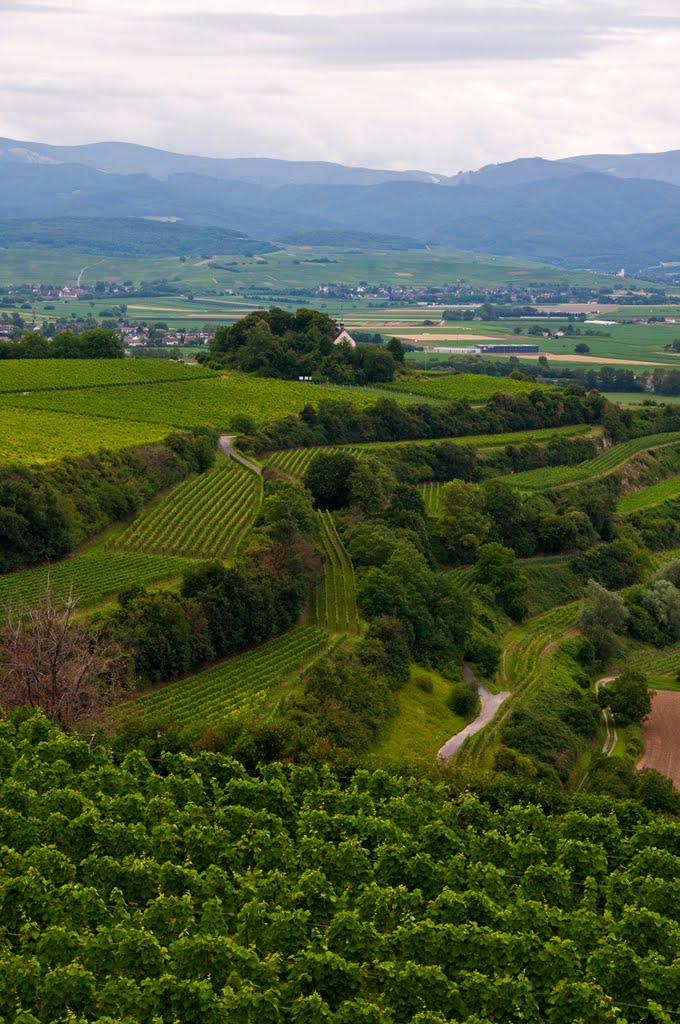 Tuniberg, Blick auf die St.-Erentrudis-Kapelle bei Freiburg-Munzingen ¦ by pilago by pilago