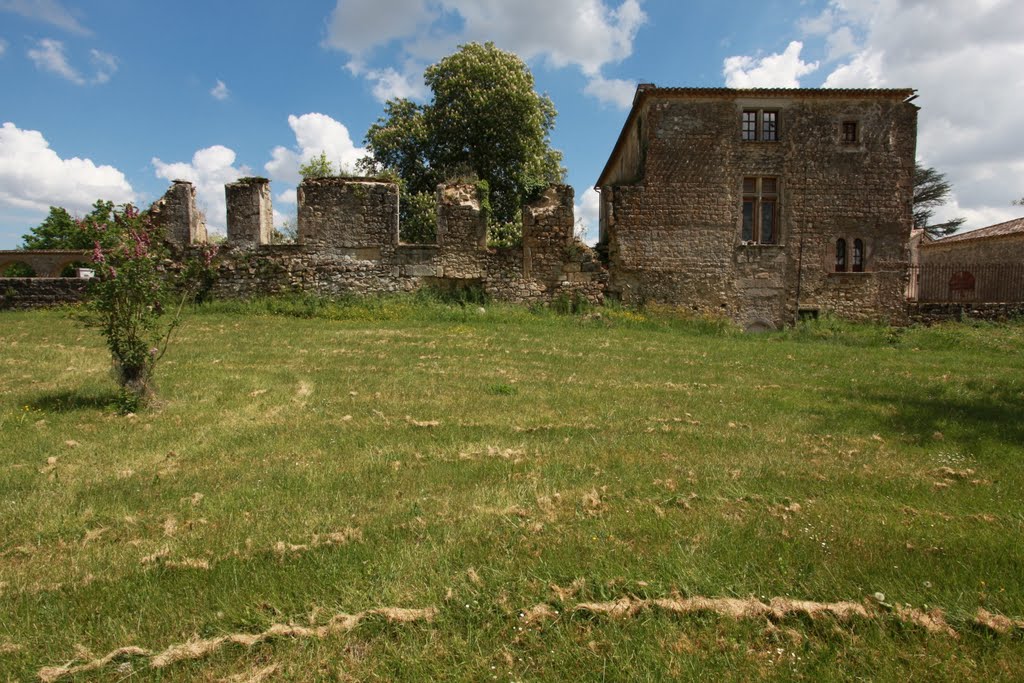 Chateau des Seigneurs Pommiers XIIIe Siecle by stephen yates