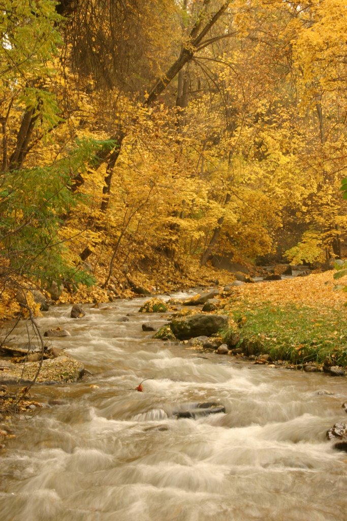 Medeu District, Almaty, Kazakhstan by cj Bent