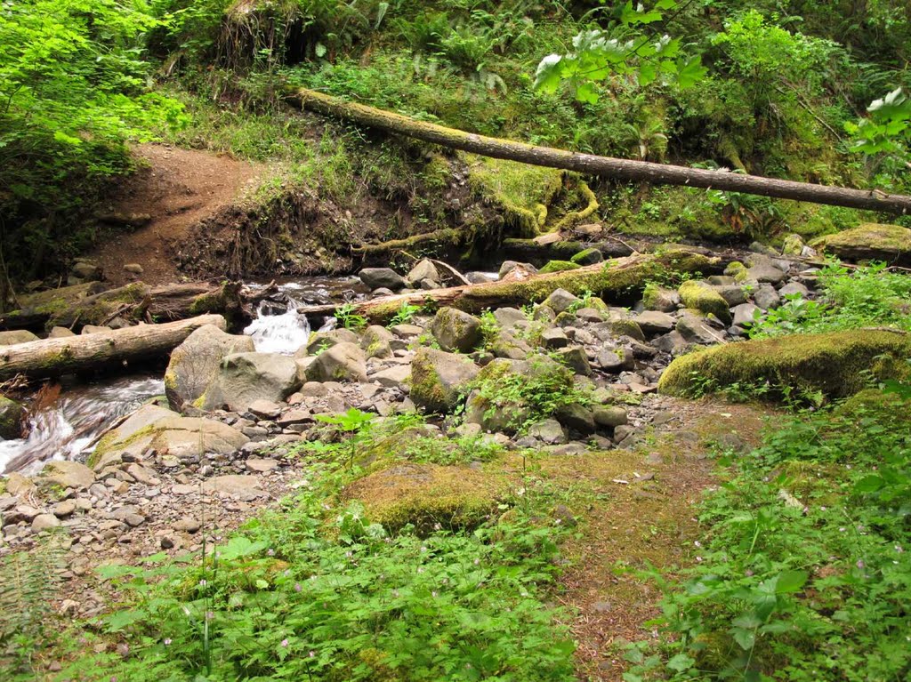 Warren Creek rock-hop trail crossing by Curious Gorge Guidebook