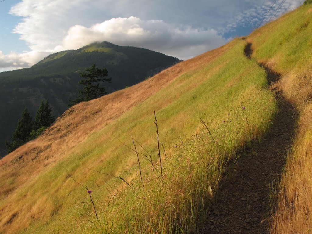 Late afternoon cloud-cap on Dog Mtn by Curious Gorge Guidebook