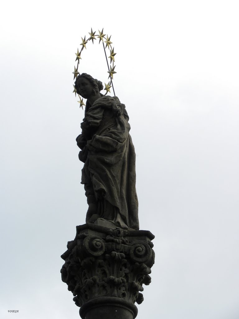 VYSOKÉ MÝTO - náměstí Přemysla Otakara II - Mariánský sloup z roku 1714 - detail / Premysl Otakar II Square - Marian column from 1714 - detail by votoja - CZ