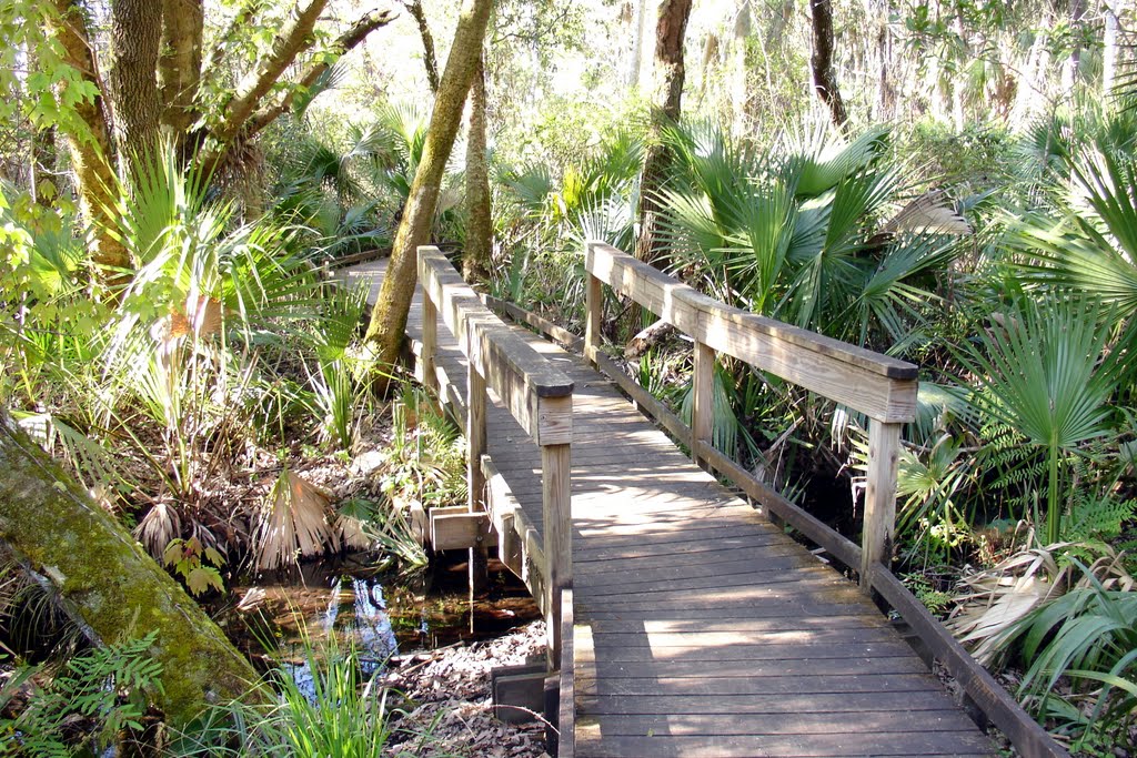 Wass Albert és ALEXANDER SPRINGS, Fl. - 2006 by Sebestyén Sándor István