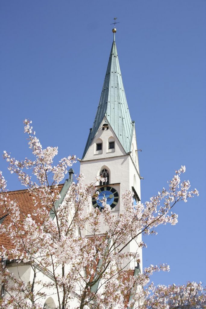 Frühling im Allgäu by ekkykmanet