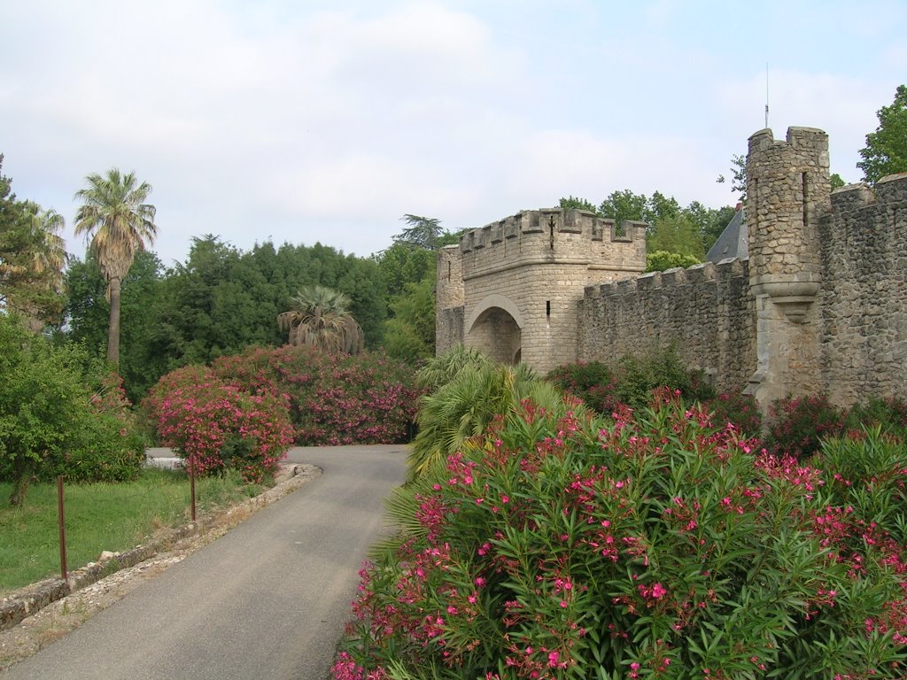 Entrée du Château Grézan by François Vidal