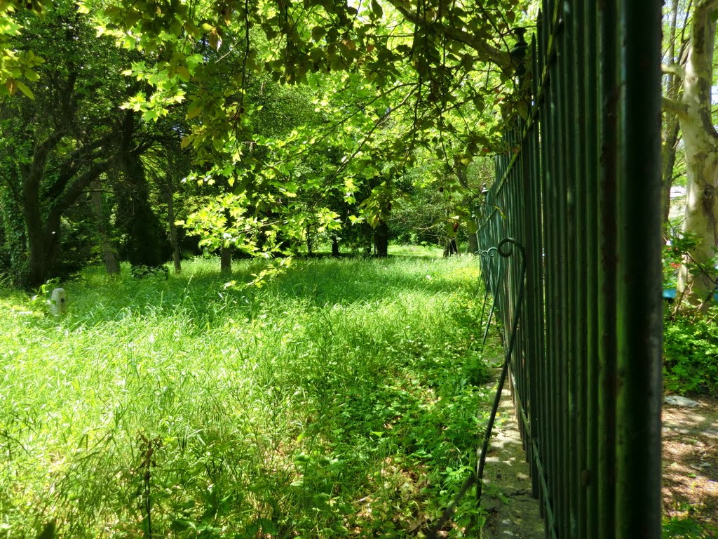 Abandoned mental hospital 3 by czvikovisio