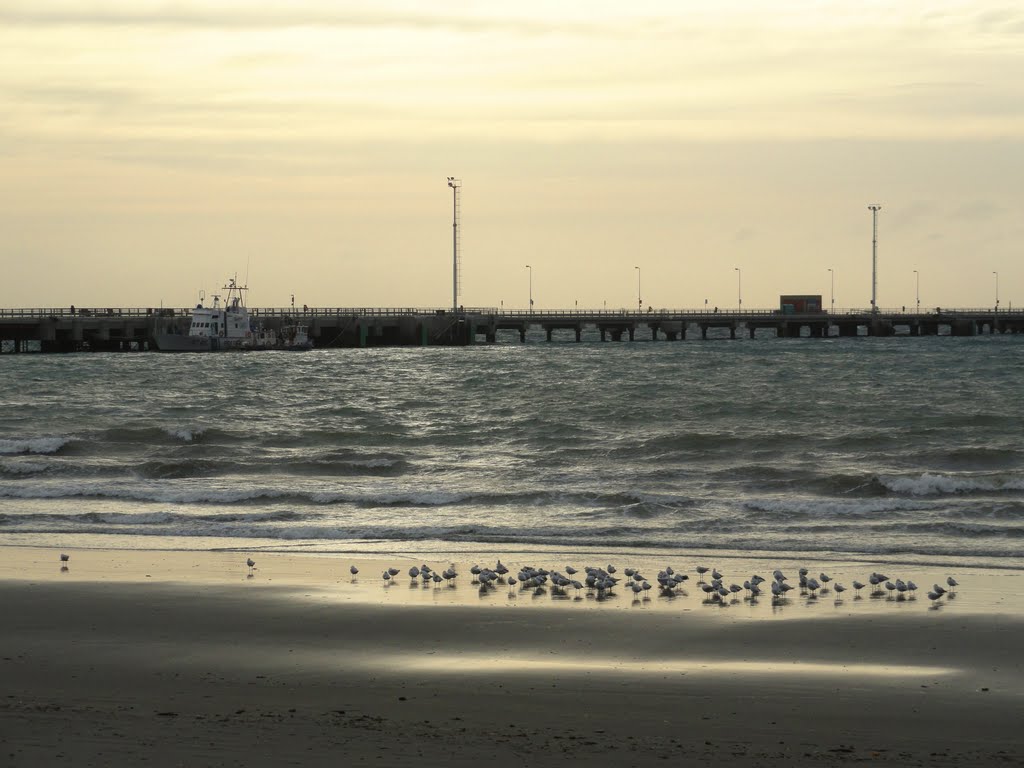 Frío y cenizas, mañana de junio en Madryn by iann.patagonia