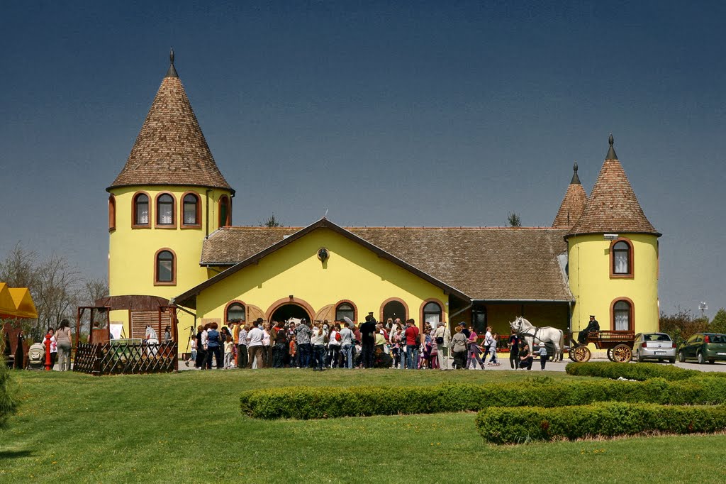 Kelebija (Kelebia), Serbia, Vojvodina (Vajdaság, trianoni békeszerződésig Bács-Bodrog vármegye) - Ergela Kelebija (Lovasfarm, Paddock Kelebija) by Gausss