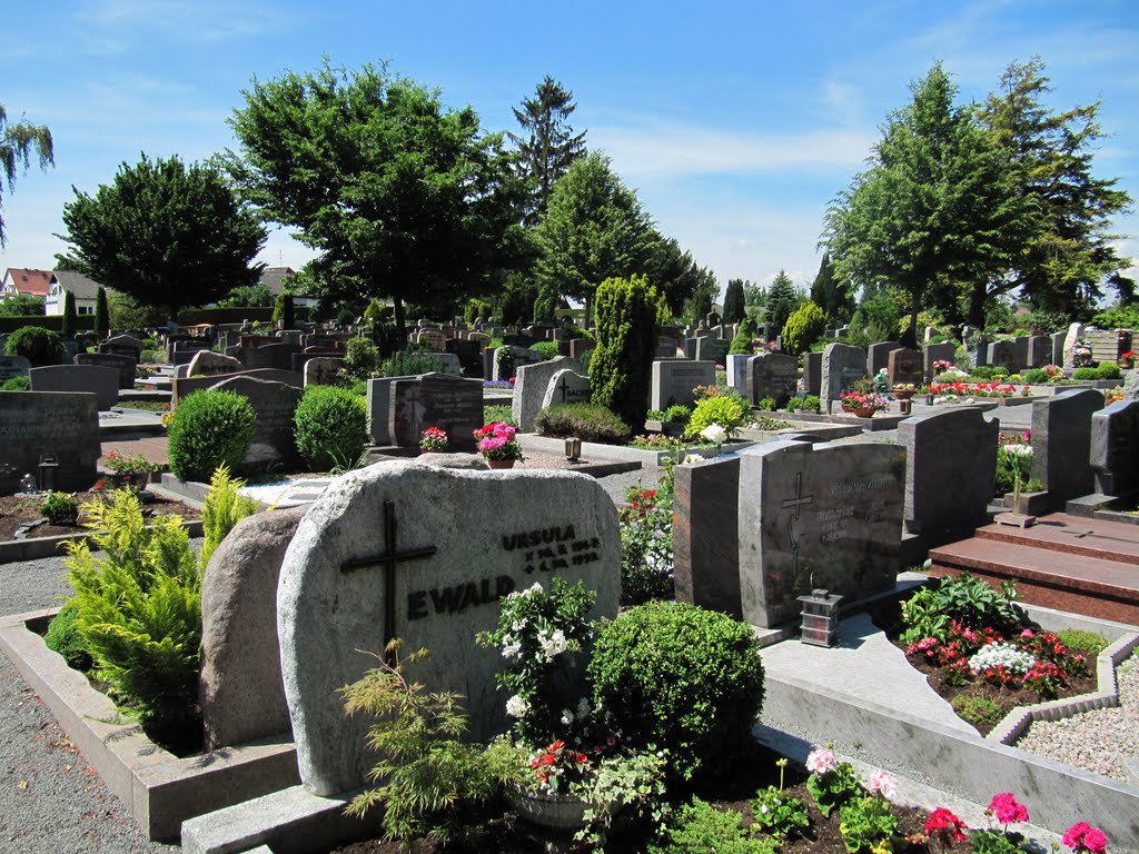 Friedhof in Reinheim by Renrew