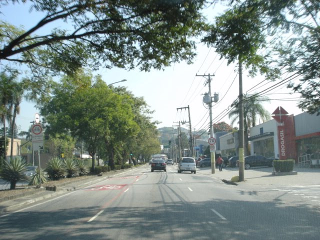 Avenida dos Tajurás by Moe de Jong