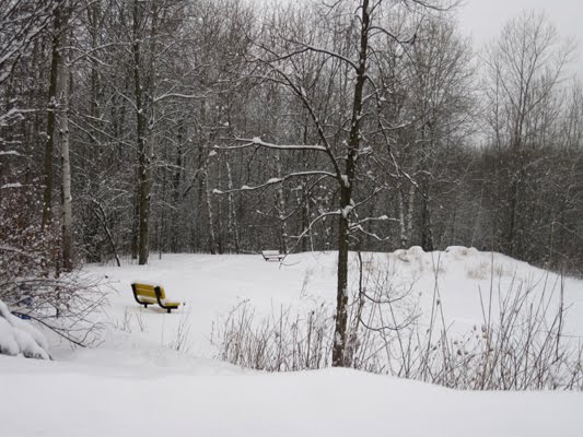 Sherwood Forest Park Green Bay by John Lin