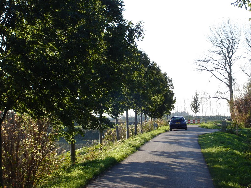 Noorddijk, Dirksland by anjoja