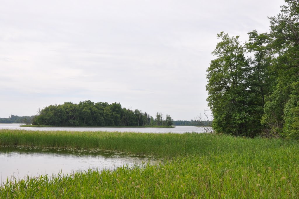 Ežezers pie Piļoru ozolu audzes, Andzeļu pagasts, Dagdas novads, Latvia by M.Strīķis