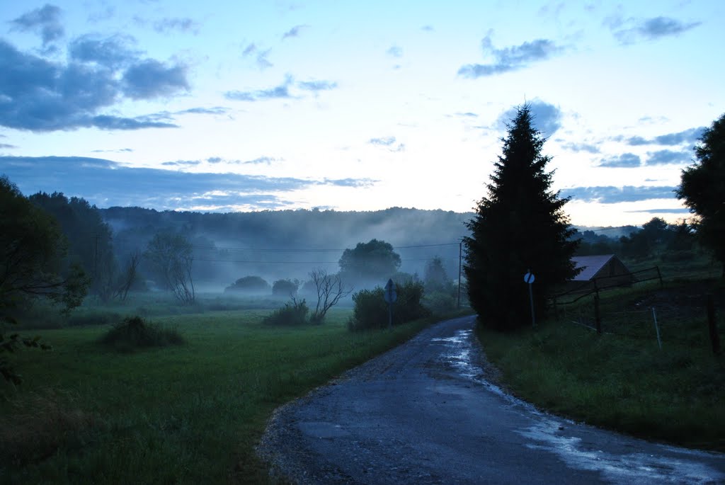 In the evening after the storm, Kétvögy, Hungary / este a vihar után Kétvölgyön by sbb66